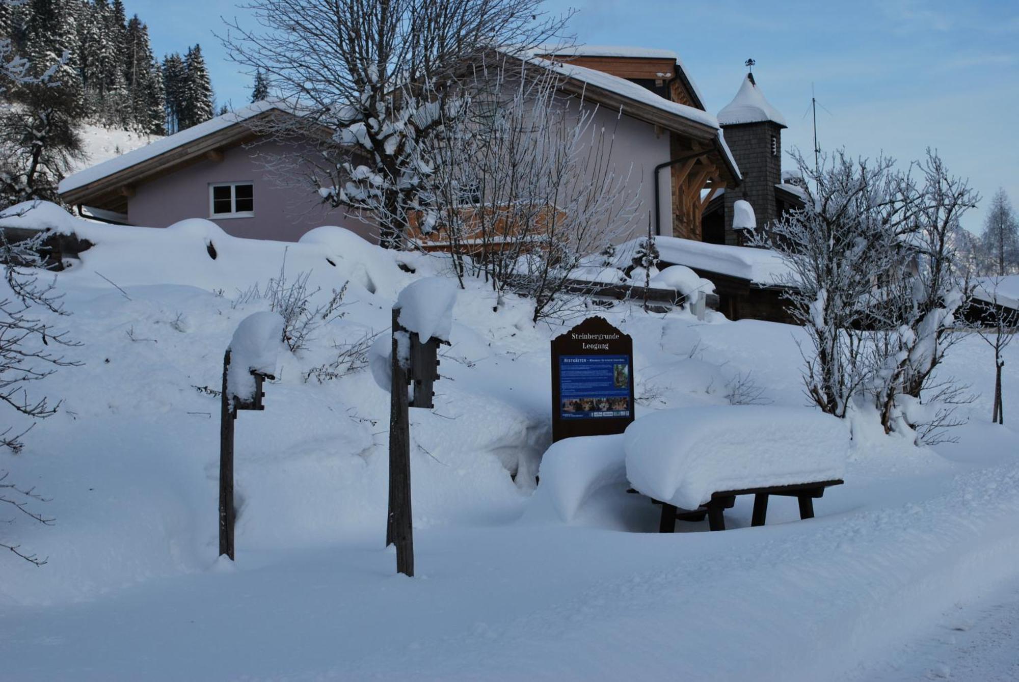 Appartement Haus Pichler Леоганг Екстериор снимка
